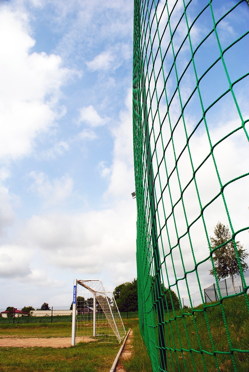 球員還是球 球員還是球