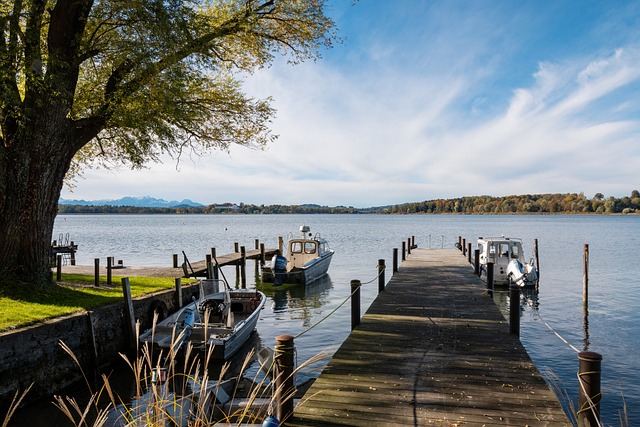 制力的重要 制力的重要