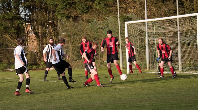 展現他的適 展現他的適