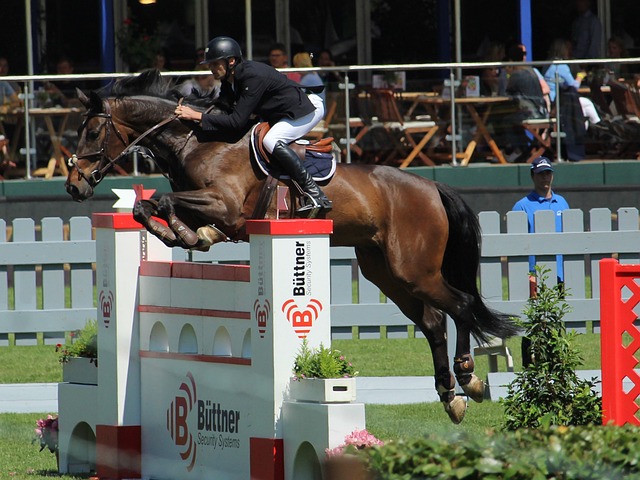 本场比赛的 本场比赛的