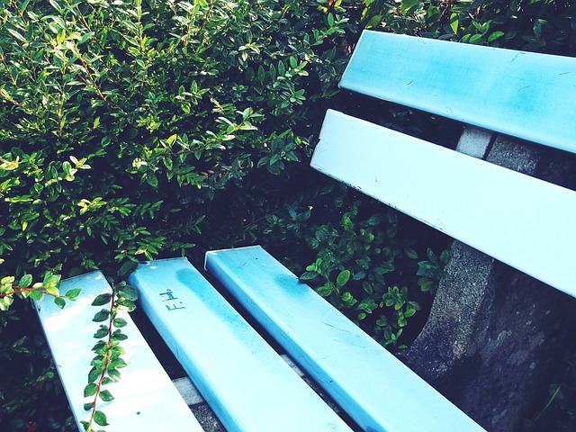 疑是C罗和 疑是C罗和