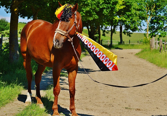 与战术安排 与战术安排