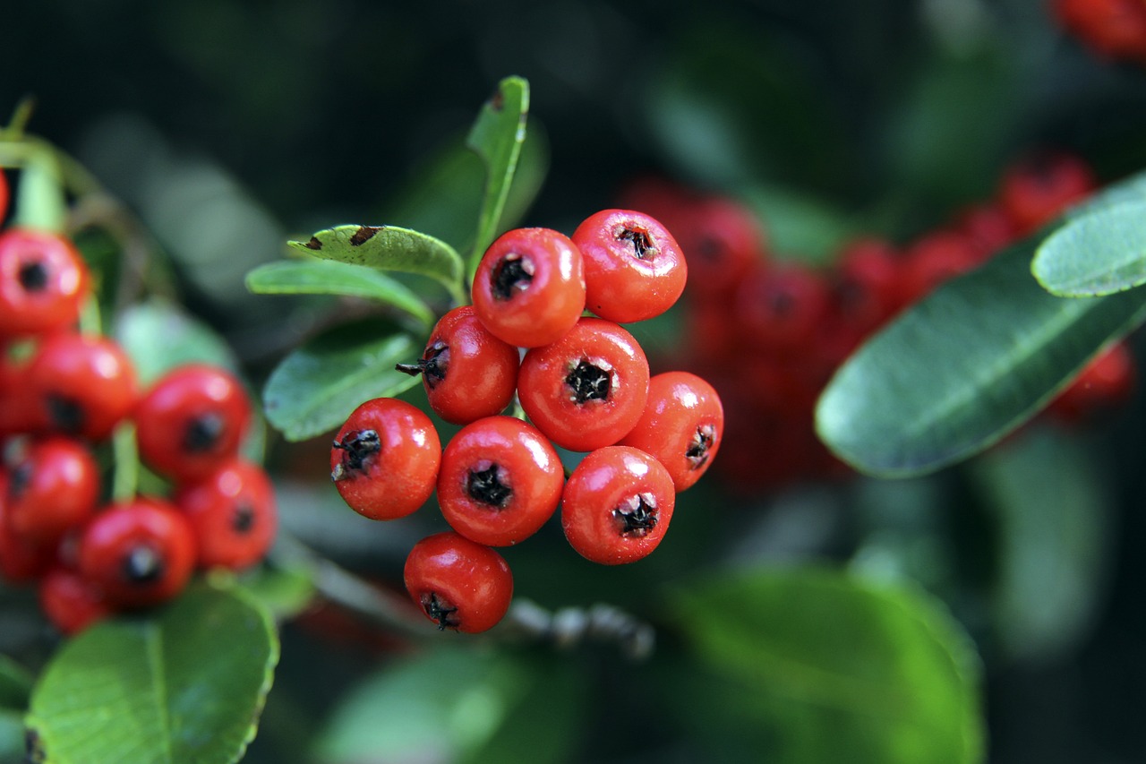 徐承宰与金 徐承宰与金