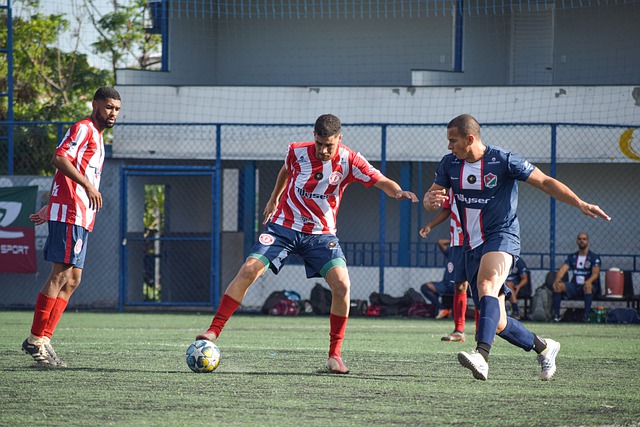 独特的特点 独特的特点