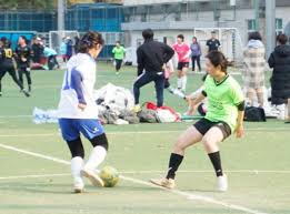 案例不仅为 案例不仅为